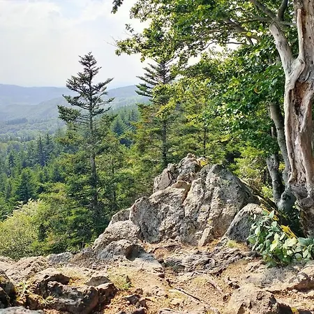 Terre D'oyali Saint-Rirand