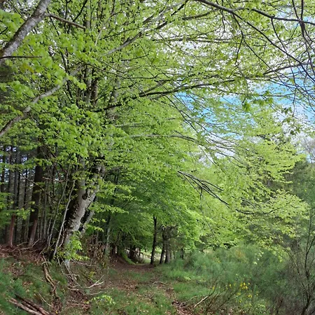 Campsite Terre D'oyali Saint-Rirand